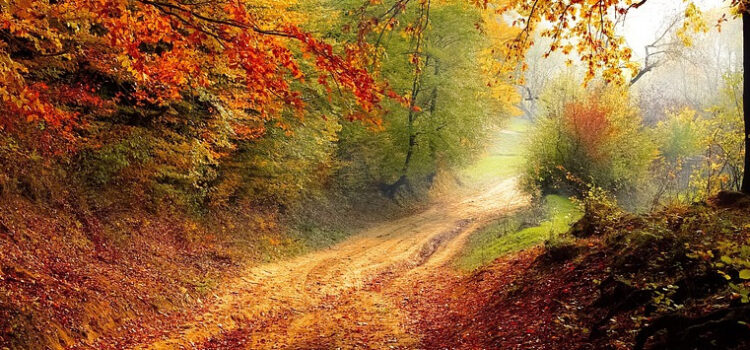 5 things to do along the Appalachian Trails 5 things to do along the Appalachian Trails
